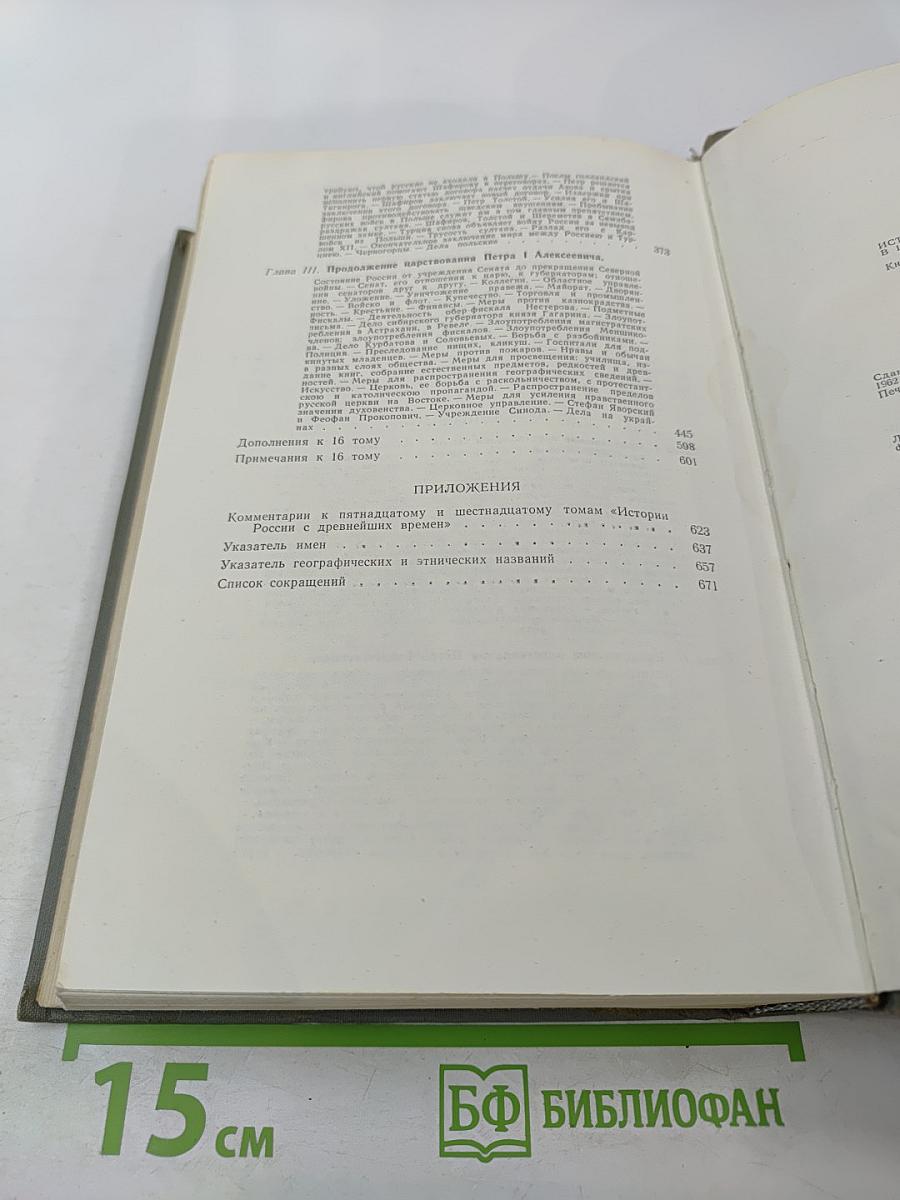 История России с древнейших времен. Книга VIII (Тома 15-16)