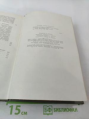 История России с древнейших времен. Книга VIII (Тома 15-16)