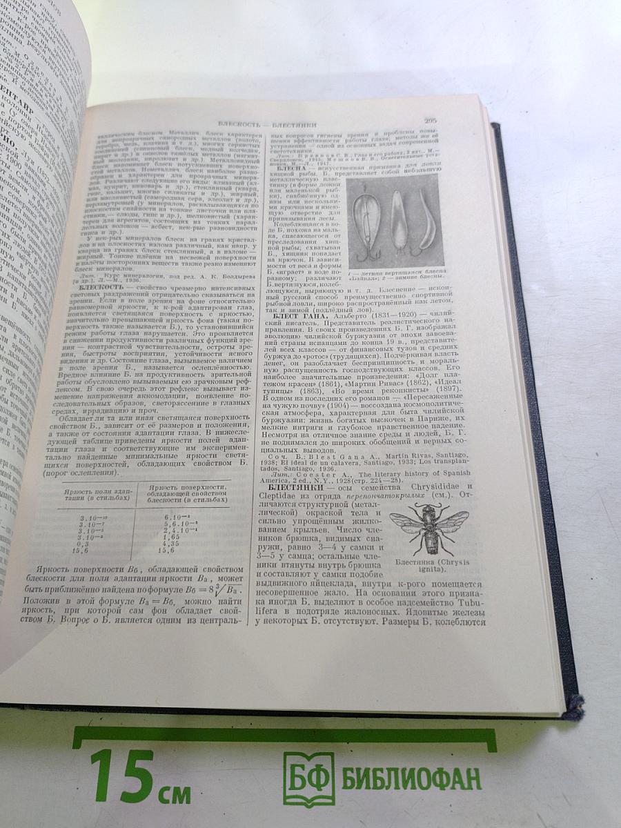 Большая Советская Энциклопедия, Том 5: Береза - Ботокуды
