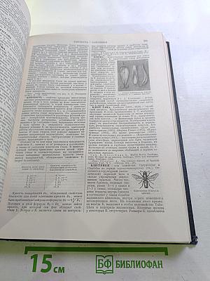 Большая Советская Энциклопедия, Том 5: Береза - Ботокуды