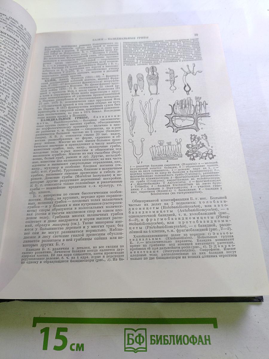 Большая Советская Энциклопедия. Том 4 (Б—Березо)