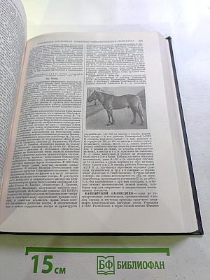 Большая Советская Энциклопедия. Том 4 (Б—Березо)