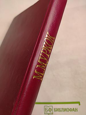 Мессия на краю времени