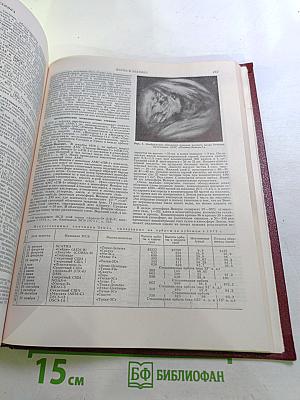 Ежегодник Большой Советской Энциклопедии 1980