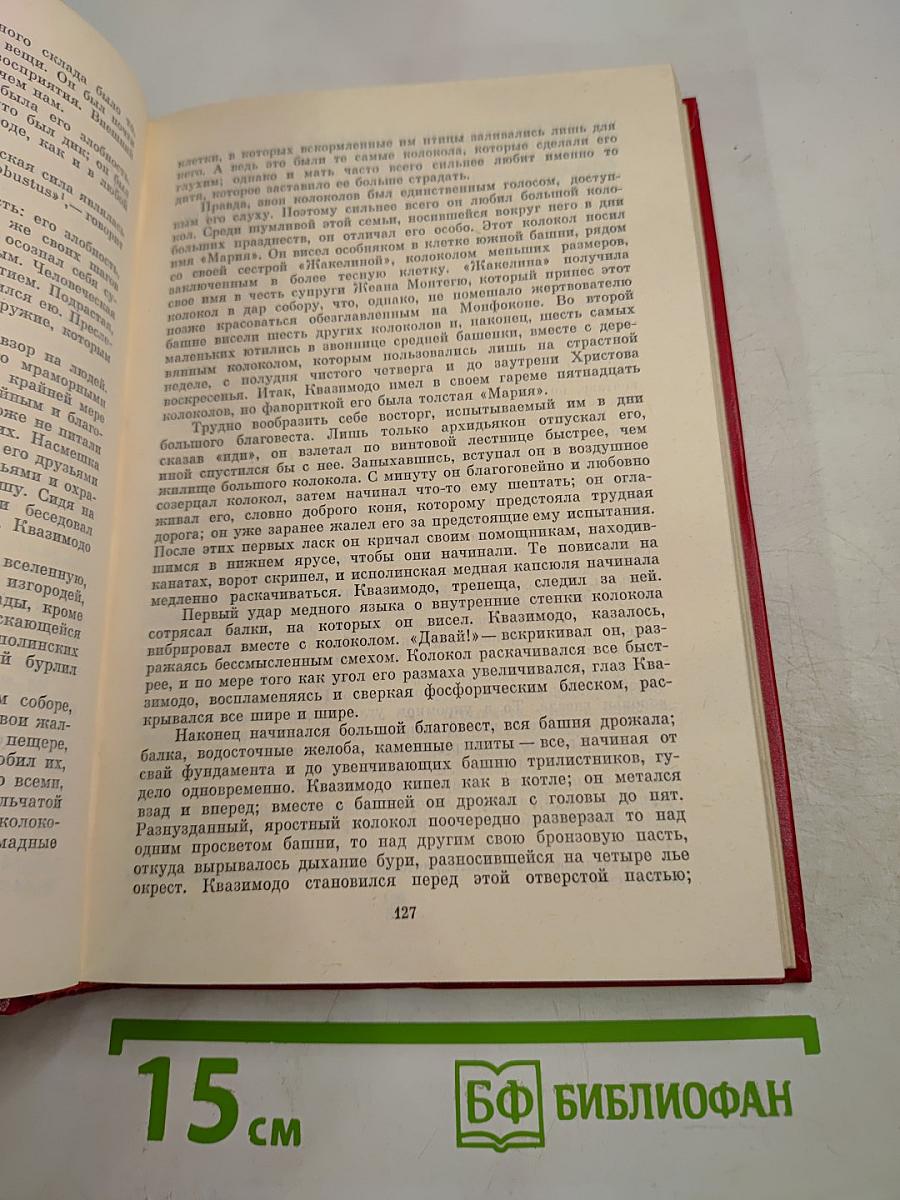 Собор Парижской Богоматери