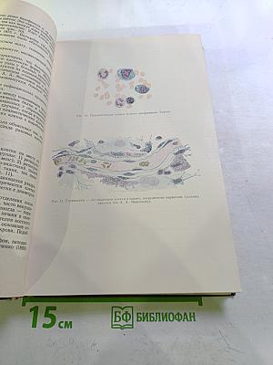 Болезни системы крови