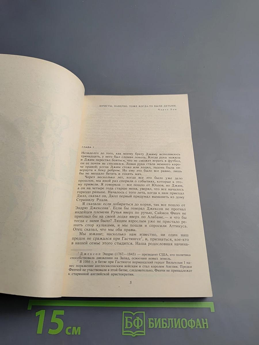 Убить пересмешника...