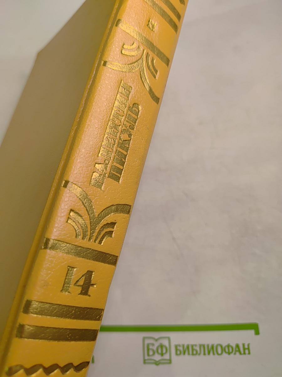 Богатство крейсера