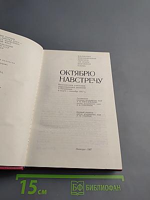 Октябрю навстречу