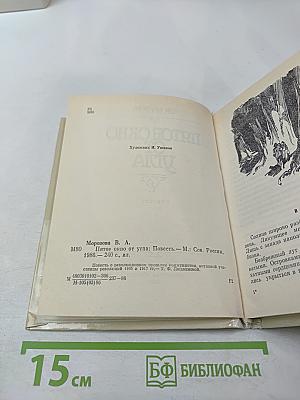 Пятое окно от угла