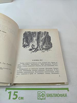 Пятое окно от угла