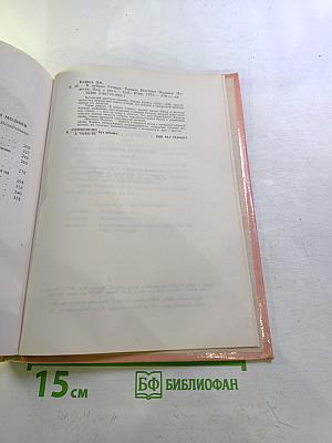 В дебрях Севера. Быстрая Молния