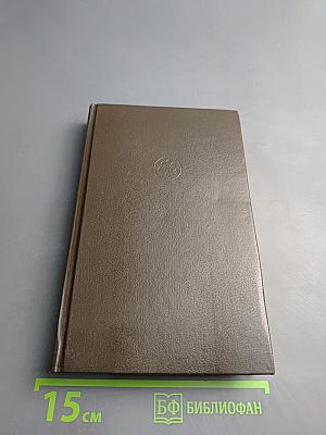 Повелитель Бурь