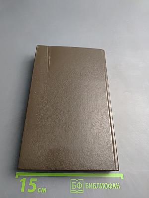 Повелитель Бурь