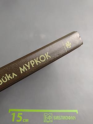 Повелитель Бурь