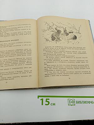 Почему ты оставил друга?