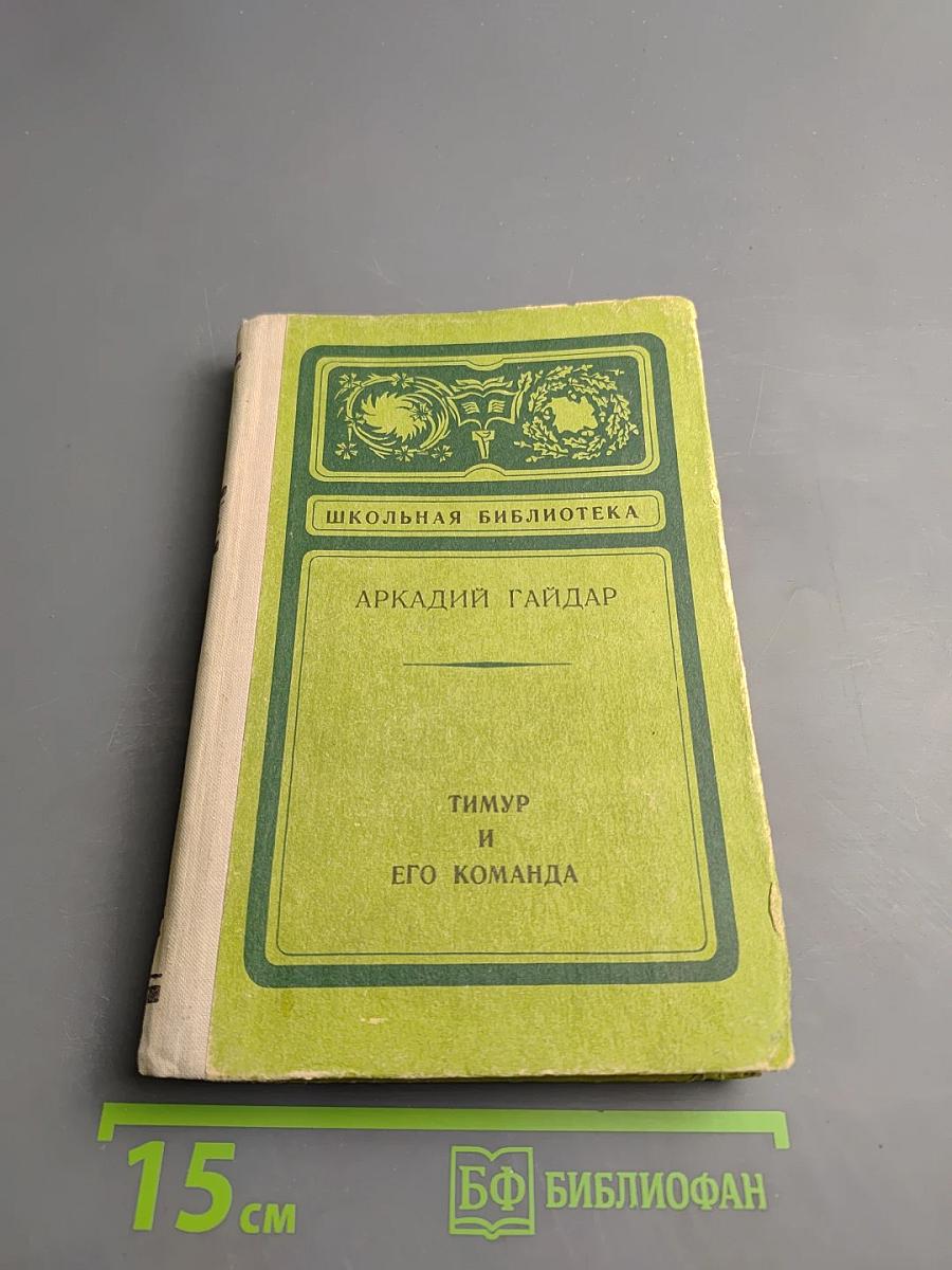 Тимур и его команда