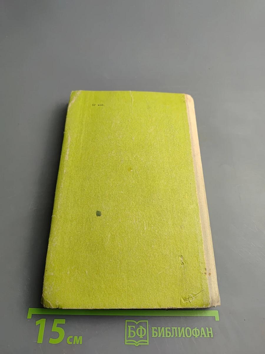 Тимур и его команда