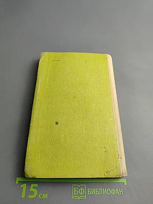 Тимур и его команда