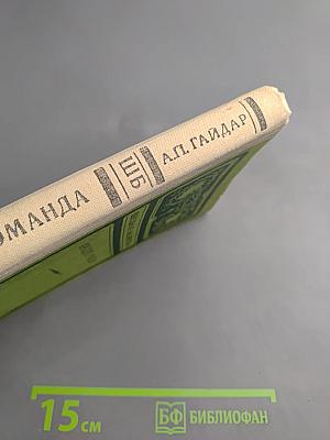 Тимур и его команда