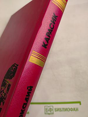 Исповедь телохранителя