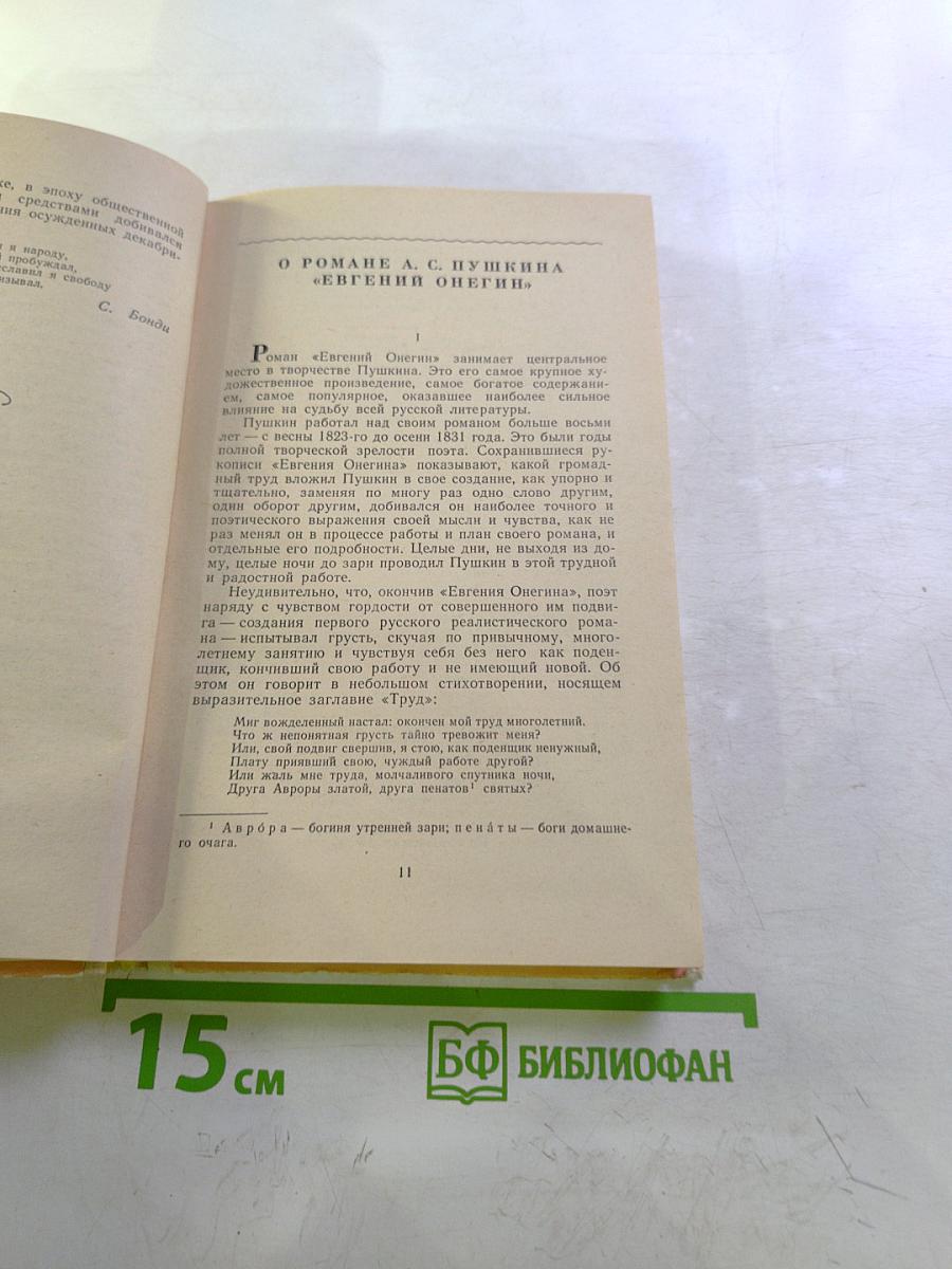 Стихотворения. Евгений Онегин