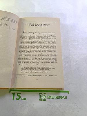 Стихотворения. Евгений Онегин