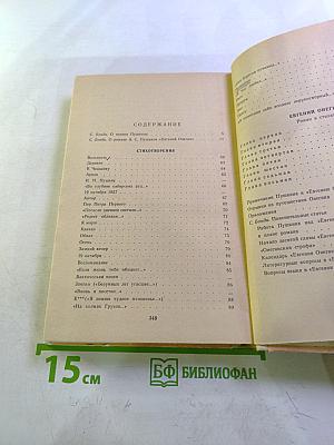 Стихотворения. Евгений Онегин