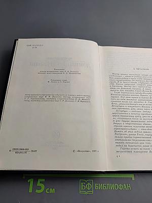 Доминико Трезини