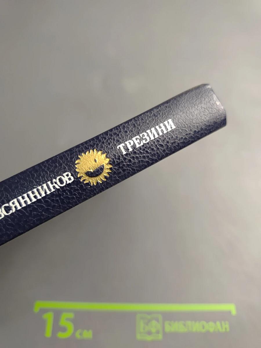 Доминико Трезини