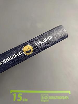 Доминико Трезини