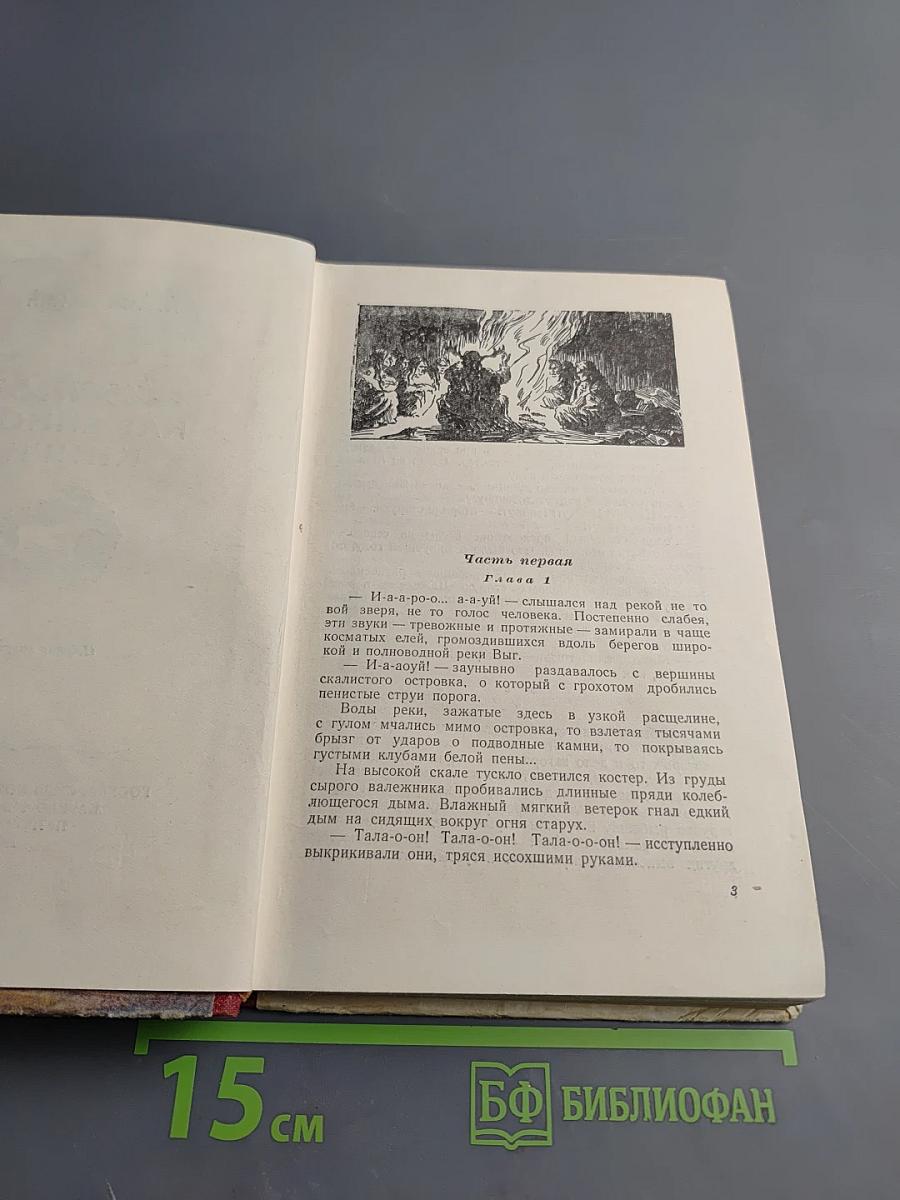 Листы каменной книги