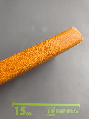 Вопросы самому себе