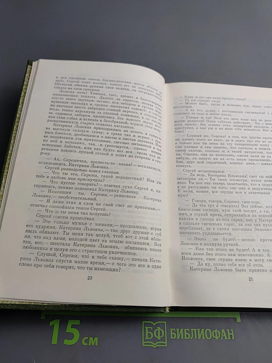 Очарованный странник