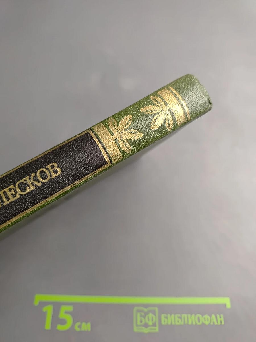 Очарованный странник