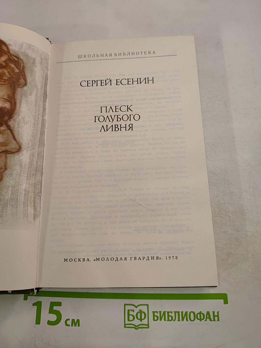 Плеск голубого ливня