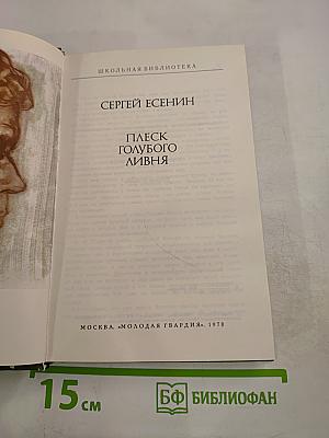 Плеск голубого ливня