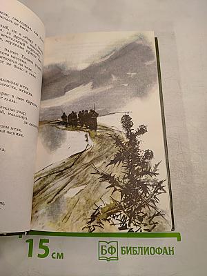 Плеск голубого ливня