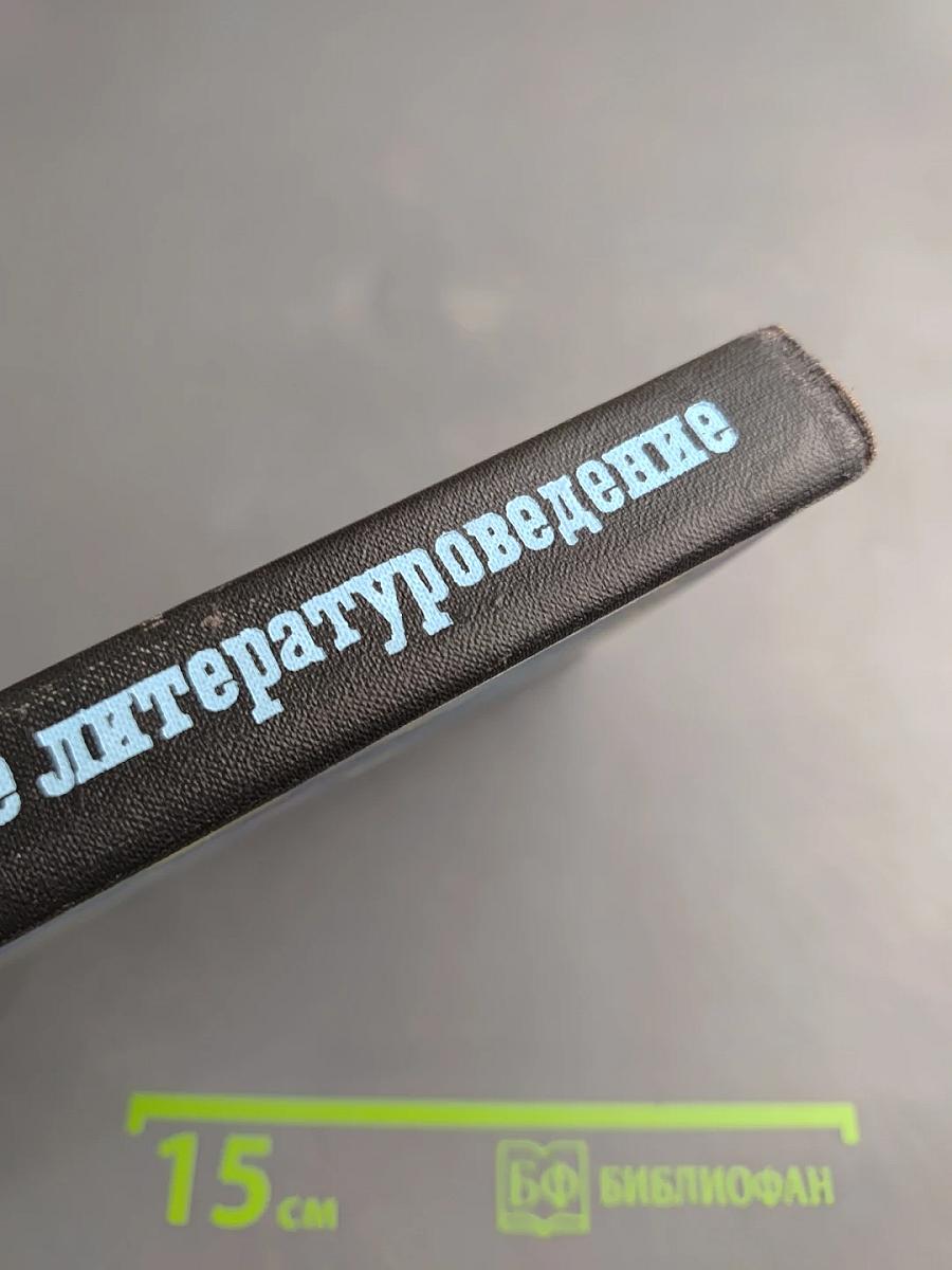 Необычное литературоведение