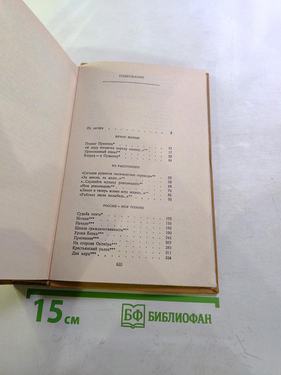 Время, Поэзия, Критика