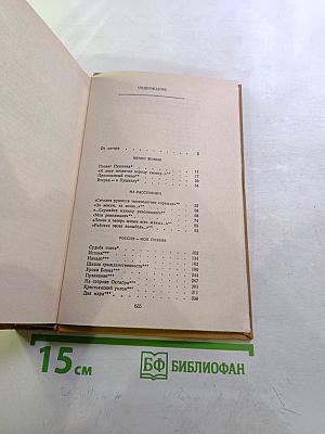 Время, Поэзия, Критика