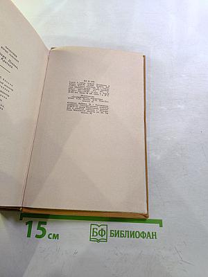 Время, Поэзия, Критика