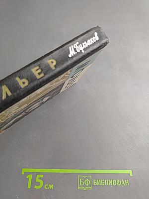 Жизнь господина де Мольера