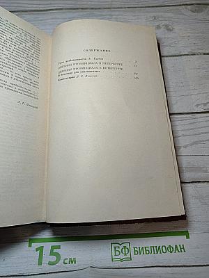 Дневник провинциала в Петербурге