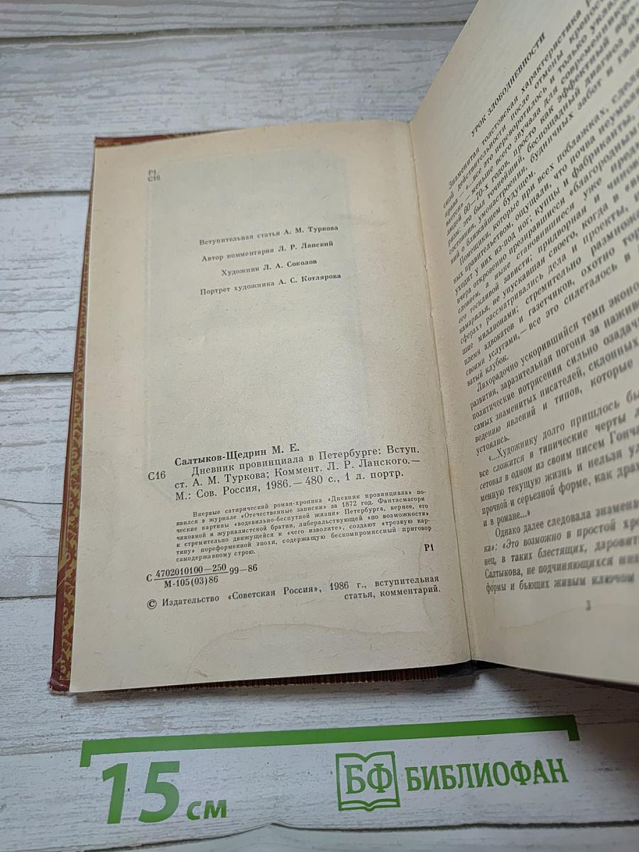 Дневник провинциала в Петербурге