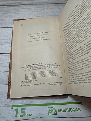 Дневник провинциала в Петербурге