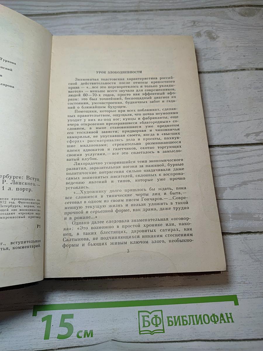 Дневник провинциала в Петербурге