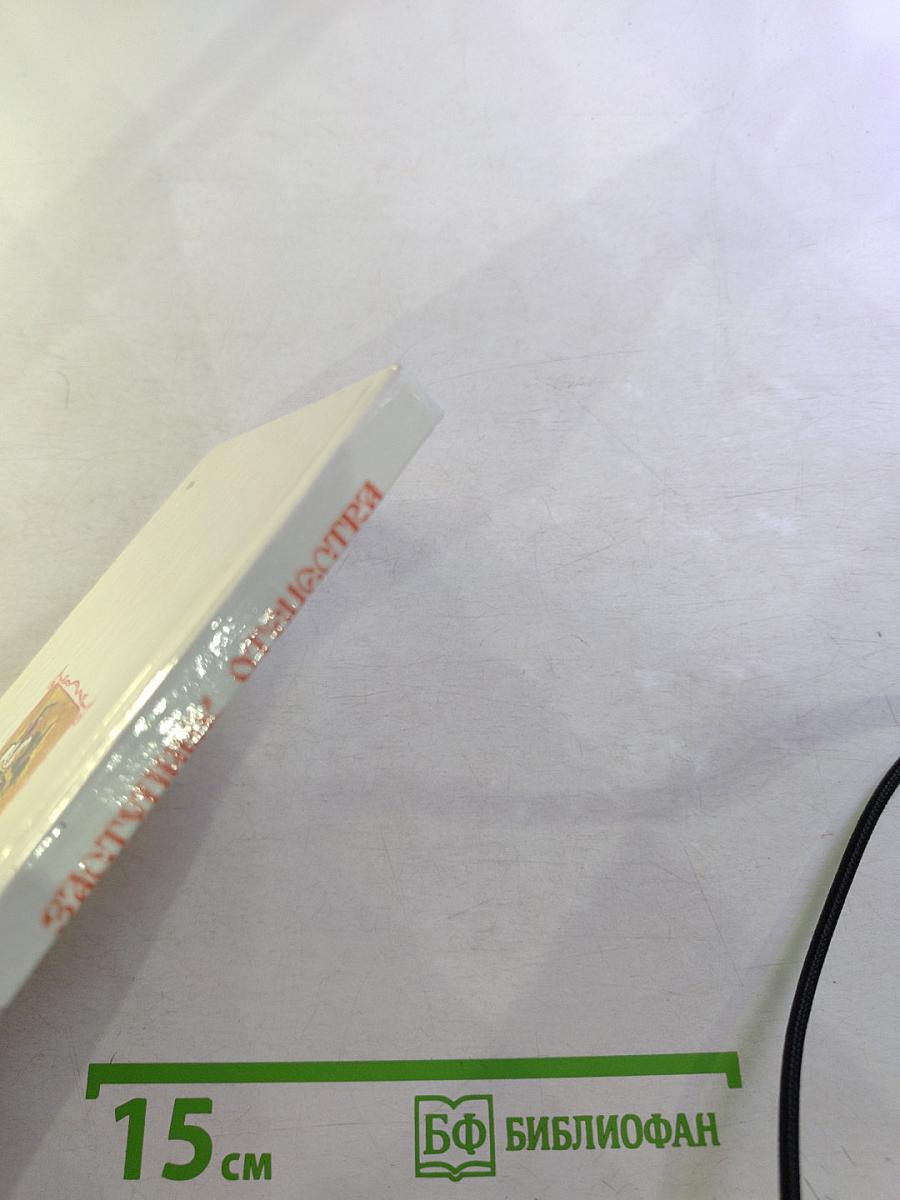 Заступник Отечества