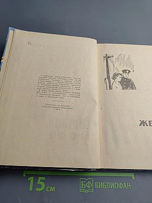 Женщина в море