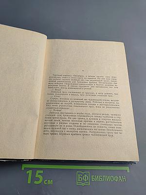 Женщина в море